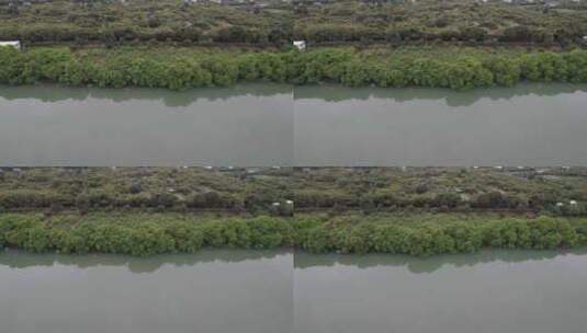河流河岸航拍高清在线视频素材下载