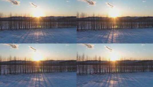 冬季田野雪景树林夕阳高清在线视频素材下载