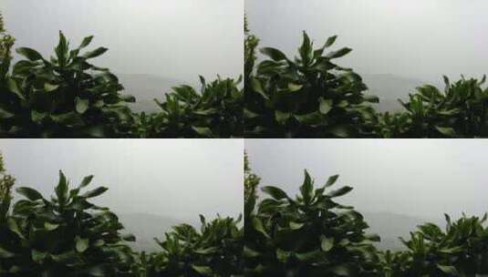 山间的下雨天高清在线视频素材下载