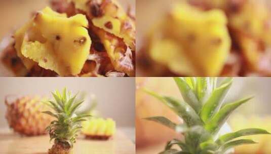 【镜头合集】废弃水果凤梨菠萝高清在线视频素材下载