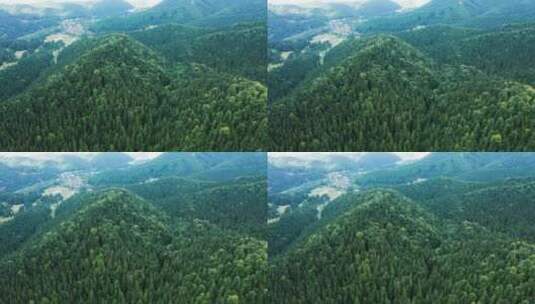 茂密的森林覆盖的山脉高清在线视频素材下载