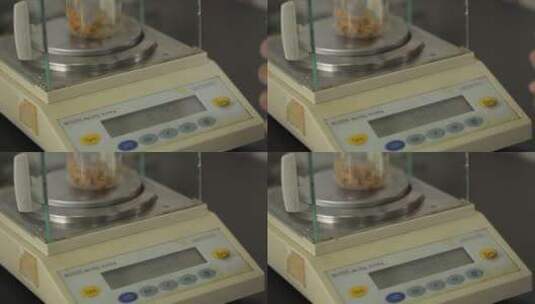 粉碎榨菜取样实验室检测高清在线视频素材下载