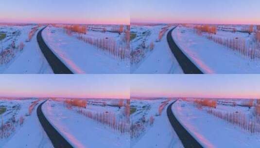 新疆天山夕阳下的林海雪原高清在线视频素材下载