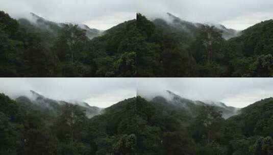 航拍雾天雨林高清在线视频素材下载