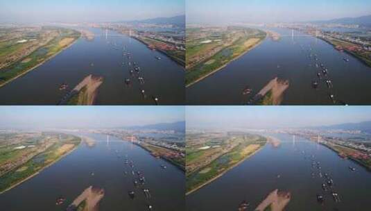 航拍蓝天下长江上来来往往的船舶高清在线视频素材下载
