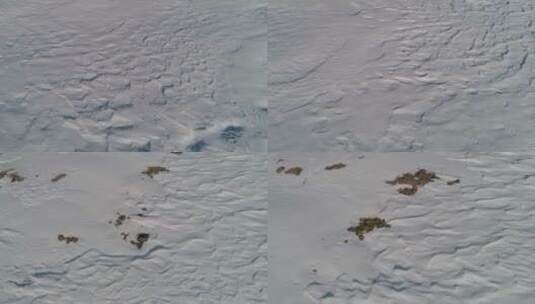 冬天大地上飘落的雪高清在线视频素材下载