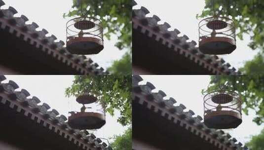四合院园林建筑历史文化北京鸟笼高清在线视频素材下载