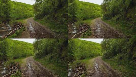 森林中的小路高清在线视频素材下载