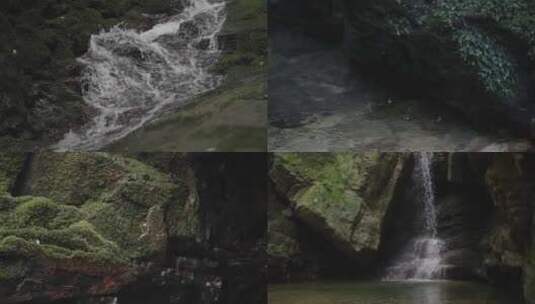流水青苔水滴小溪水森林大自然山泉苔藓水流高清在线视频素材下载