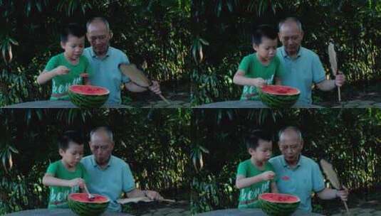 炎热夏天老爷爷和孙子一起吃西瓜高清在线视频素材下载