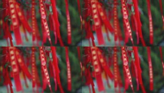 许愿树红色丝带高清在线视频素材下载