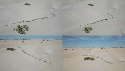 4K航拍 人群沙漠徒步 团队建设高清在线视频素材下载