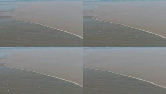 杭州钱塘江潮水白鹭追潮航拍空镜高清在线视频素材下载