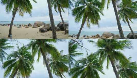 椰树沙滩 海边椰子树高清在线视频素材下载