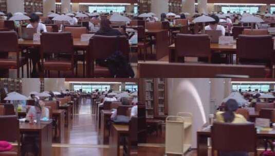 图书馆 公共图书馆 大学图书馆高清在线视频素材下载