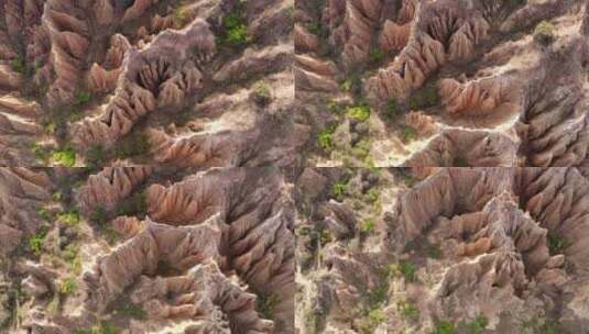 中国云南元谋浪巴铺土林风景高清在线视频素材下载