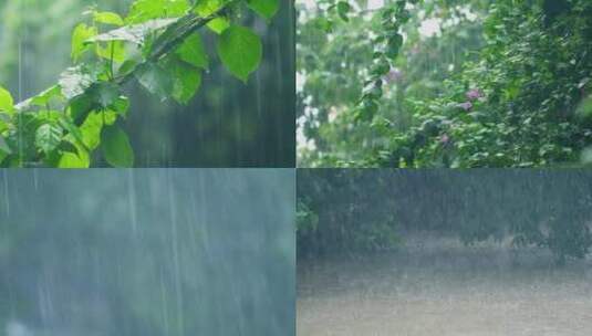 倾盆大雨下的树叶河流 大暴雨天气高清在线视频素材下载
