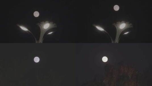 月亮升起十五的月亮团圆高清在线视频素材下载