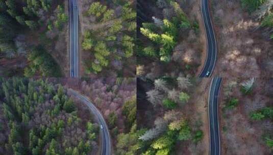 航拍汽车行驶在森林公路上旅行自驾游旅游高清在线视频素材下载