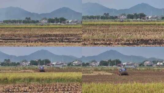 惠州万亩现代化实验农田航拍高清在线视频素材下载