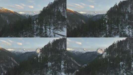 航拍雪山森林高清在线视频素材下载