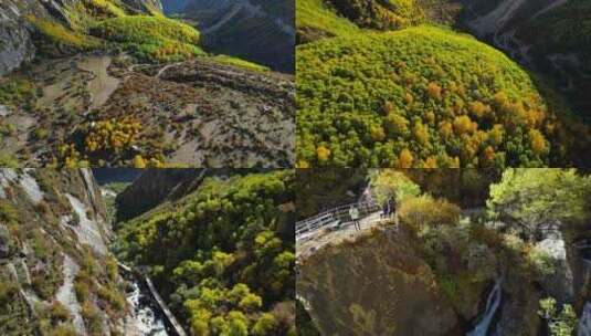 西藏山南达古峡谷秋景高清在线视频素材下载