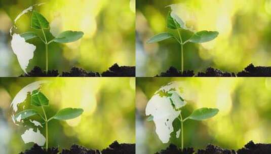 绿色地球保护环境播种植树节生态高清在线视频素材下载