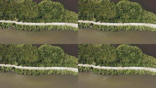 湖沼泽边上的一条小路的鸟瞰高清在线视频素材下载