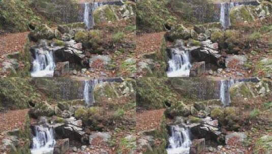 森林里一个小瀑布 高清在线视频素材下载