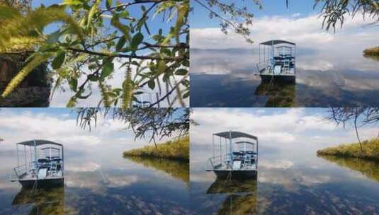 蓝色湖泊-蜜蜂采蜜高清在线视频素材下载