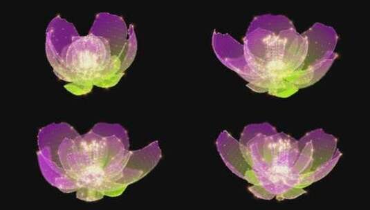 紫色全息粒子花朵背景高清在线视频素材下载