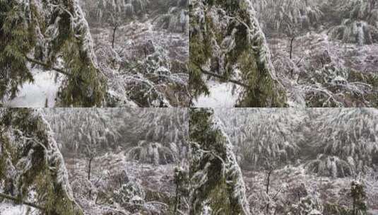 湘南郴州仰天湖高山4K雪景5高清在线视频素材下载