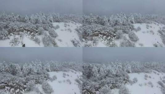 航拍湖北神农架风景区冬季雪山冰雪风光雪景高清在线视频素材下载