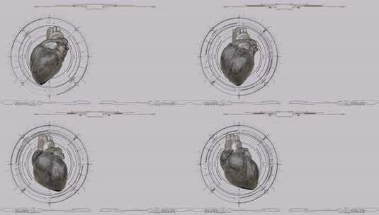 数据化全息风格的医疗卫生人体器官视频素材高清在线视频素材下载