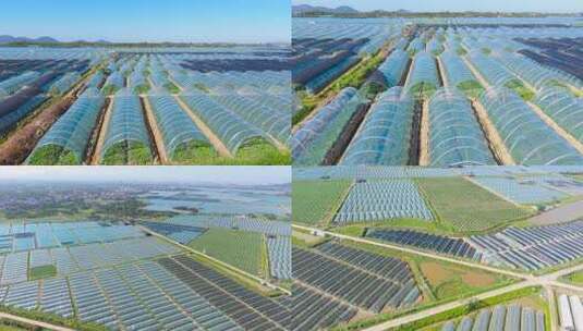 热带绿色生态农业航拍大棚种植农作物合集高清在线视频素材下载