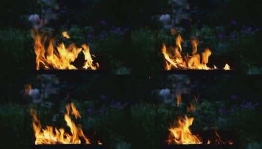 花园里燃烧的火高清在线视频素材下载