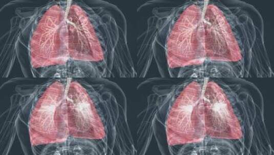 医学 支气管 肺部 肺脏 三维 肺炎高清在线视频素材下载