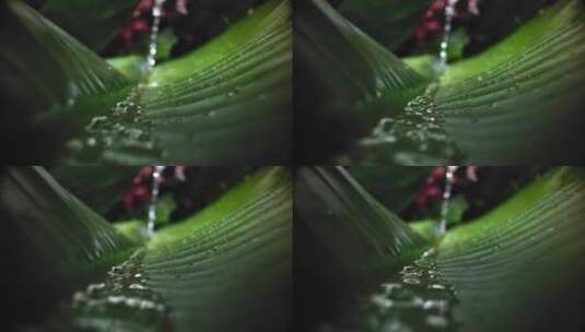 大自然纯净水树叶间流动高清在线视频素材下载