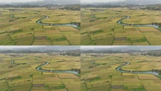 乡村农田稻田河流航拍高清在线视频素材下载