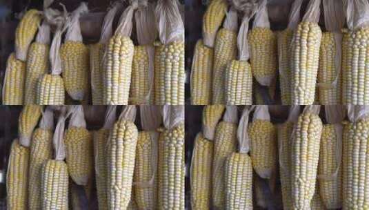 农村晾干玉米种子高清在线视频素材下载