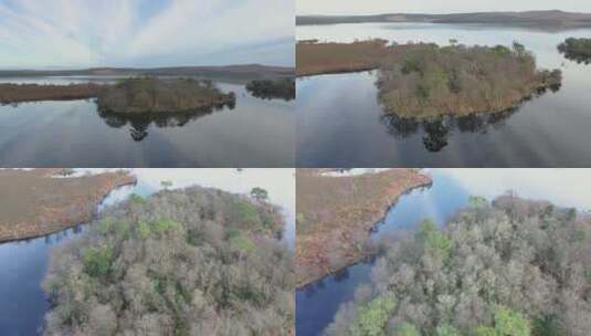 航拍安徽宣城湖面的红色落羽杉高清在线视频素材下载