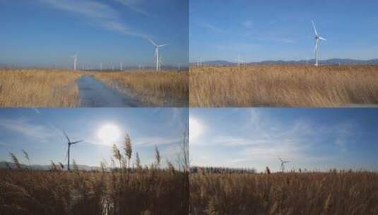秋冬的河边芦苇荡和风车高清在线视频素材下载