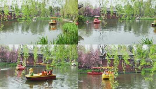 昆明人们在有垂柳的池塘里尽情的划船高清在线视频素材下载