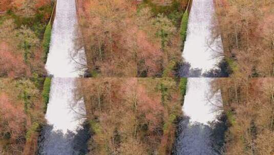 俯瞰被倒下的树木包围的河流泄洪道高清在线视频素材下载