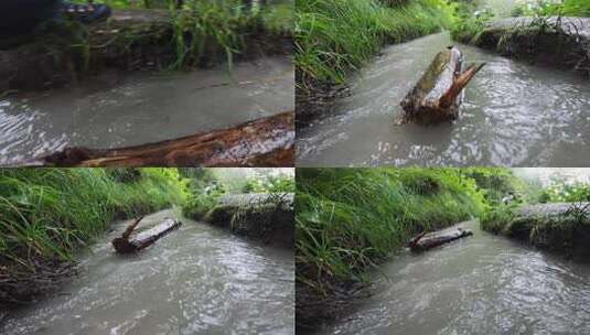 河流中的木头高清在线视频素材下载