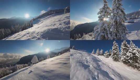 航拍冬季冬天阳光冰雪雪松雪景高清在线视频素材下载