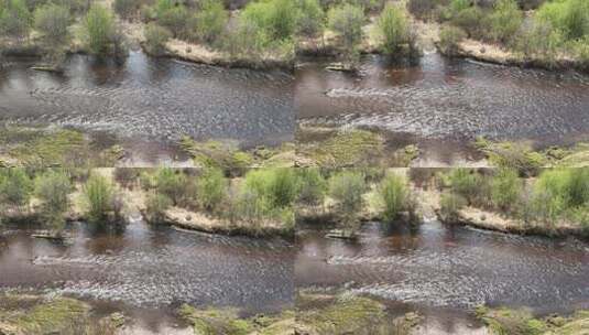 大兴安岭初夏的卡鲁奔湿地高清在线视频素材下载