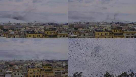 意大利天空鸟群高清在线视频素材下载