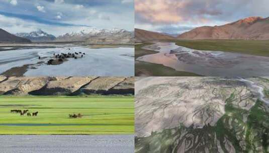新疆雪地草原的牛群羊群高清在线视频素材下载
