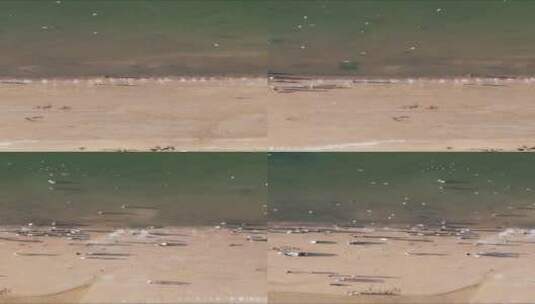 俯拍大海海浪沙滩竖屏高清在线视频素材下载